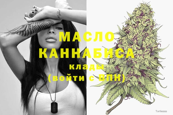 ГАЛЛЮЦИНОГЕННЫЕ ГРИБЫ Аркадак