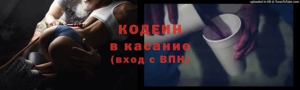 ГАЛЛЮЦИНОГЕННЫЕ ГРИБЫ Аркадак