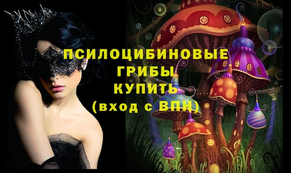 spice Арсеньев