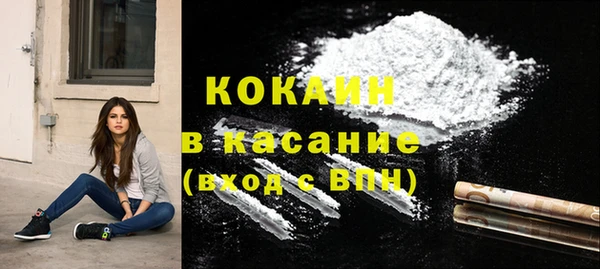 ГАЛЛЮЦИНОГЕННЫЕ ГРИБЫ Аркадак