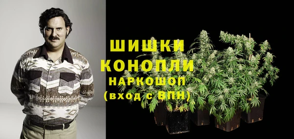 spice Арсеньев