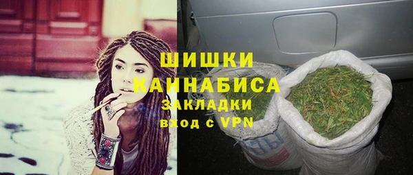 ГАЛЛЮЦИНОГЕННЫЕ ГРИБЫ Аркадак