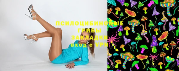 spice Арсеньев