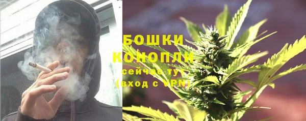 ГАЛЛЮЦИНОГЕННЫЕ ГРИБЫ Аркадак