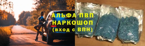 стафф Медвежьегорск